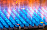 Blair Drummond gas fired boilers